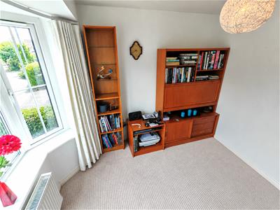 Picture 5